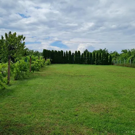 Villa Tea Fruska Gora