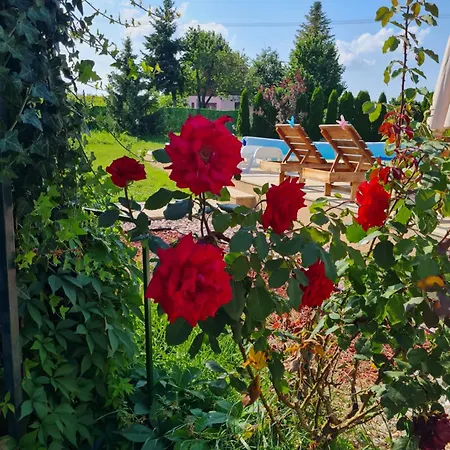 Tea Fruska Gora Villa